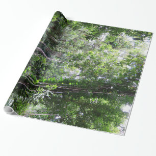 Papier Cadeau Forêt tropicale hawaïenne
