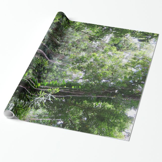 Papier Cadeau Forêt tropicale hawaïenne (Déroulé)