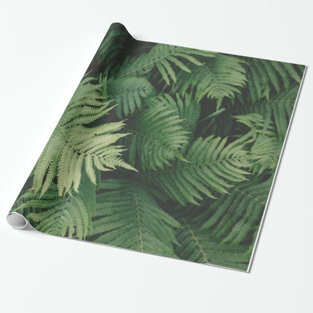 Papier Cadeau Fougères à la nuance verte fraîche (Déroulé)