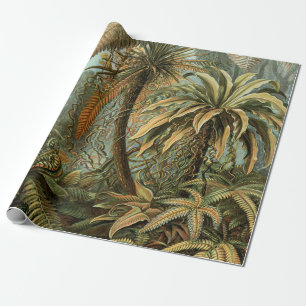 Papier Cadeau Fougères Palmier Antique Botanique Fougères Art