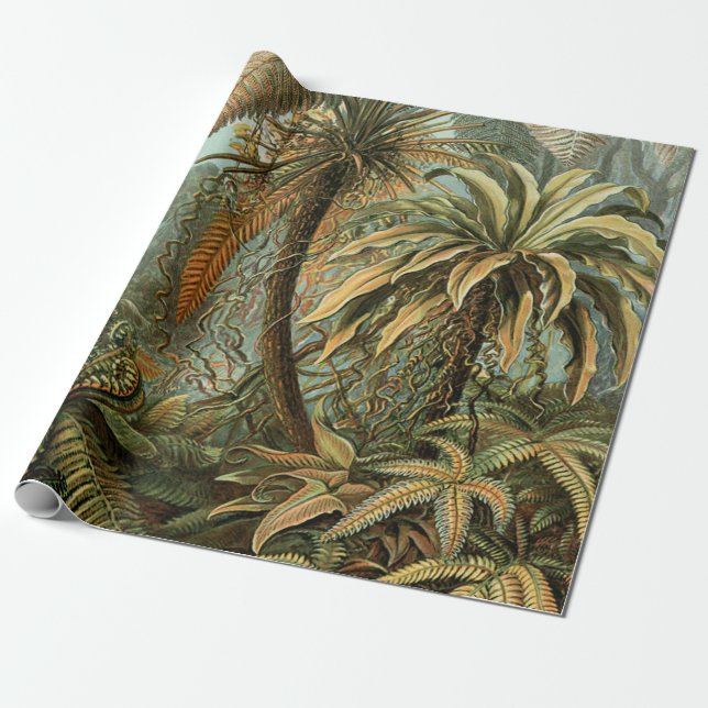 Papier Cadeau Fougères Palmier Antique Botanique Fougères Art (Déroulé)