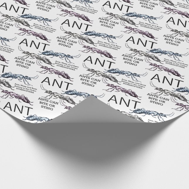 Papier Cadeau Fourmis Insectes Punaises (Coin)