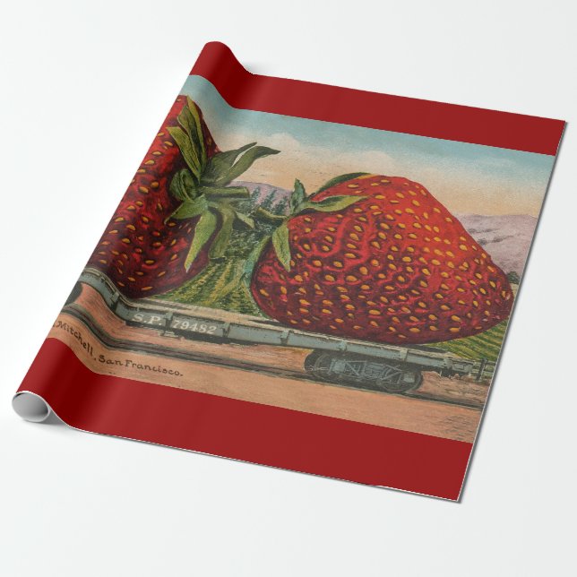 Papier Cadeau Fraises Géant Antique Fruit Amusement (Déroulé)
