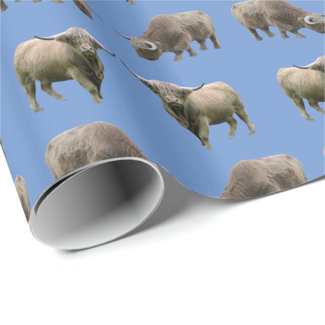 Papier cadeau frénésie de vache highland (Bleu) (Coin rond)