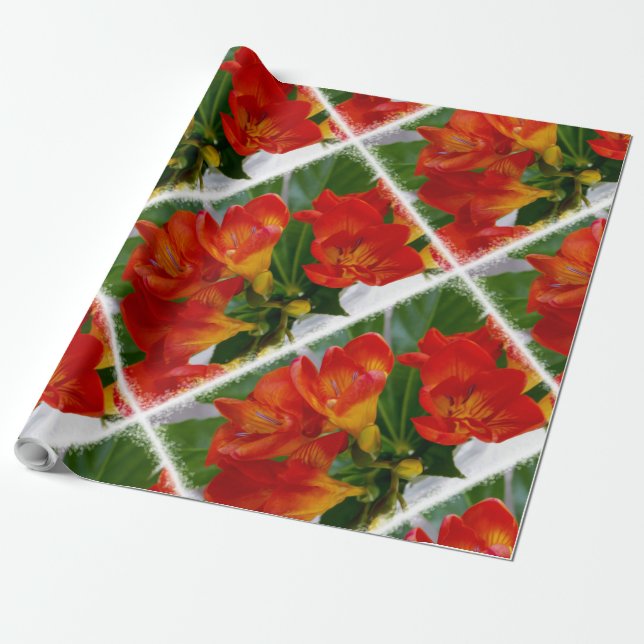 Papier Cadeau Frénésie rouge (Déroulé)