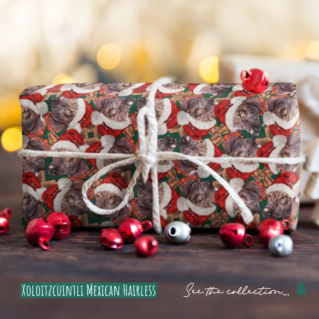 Papier Cadeau Funny Xoloitzcuintli Noël mexicain sans cheveux (Créateur téléchargé)