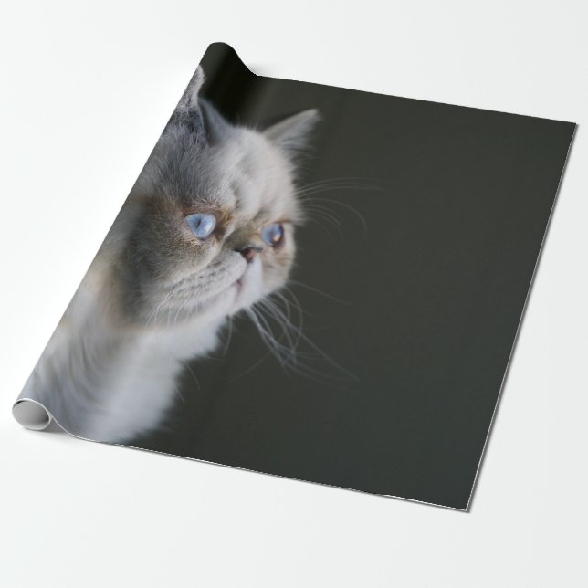 PAPIER CADEAU GAZE BLEUE (Déroulé)