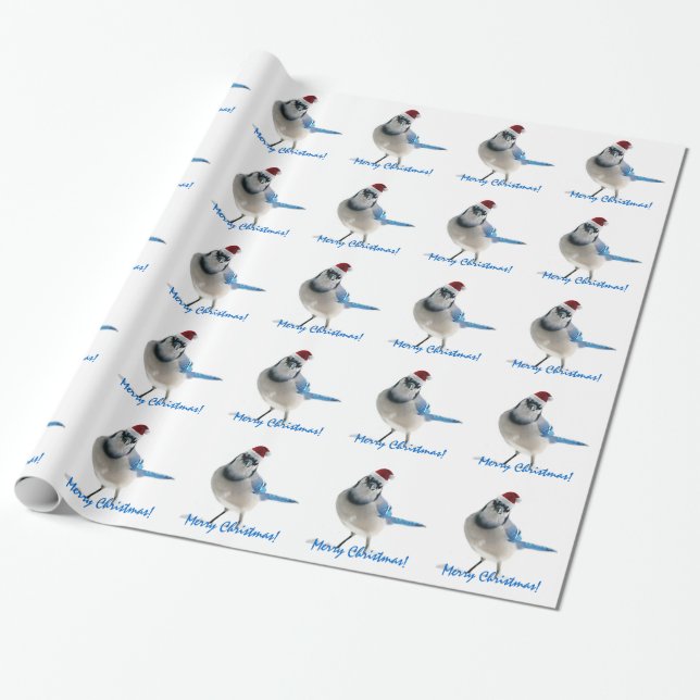 Papier Cadeau Geai bleu de vacances (Déroulé)