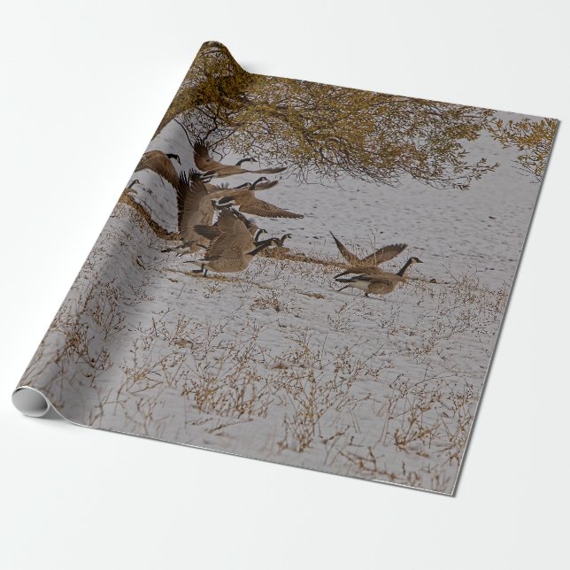 PAPIER CADEAU GEESE DU CANADA (Déroulé)