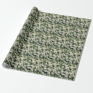 Papier Cadeau Géométrie dorée : Ventilateur Motif