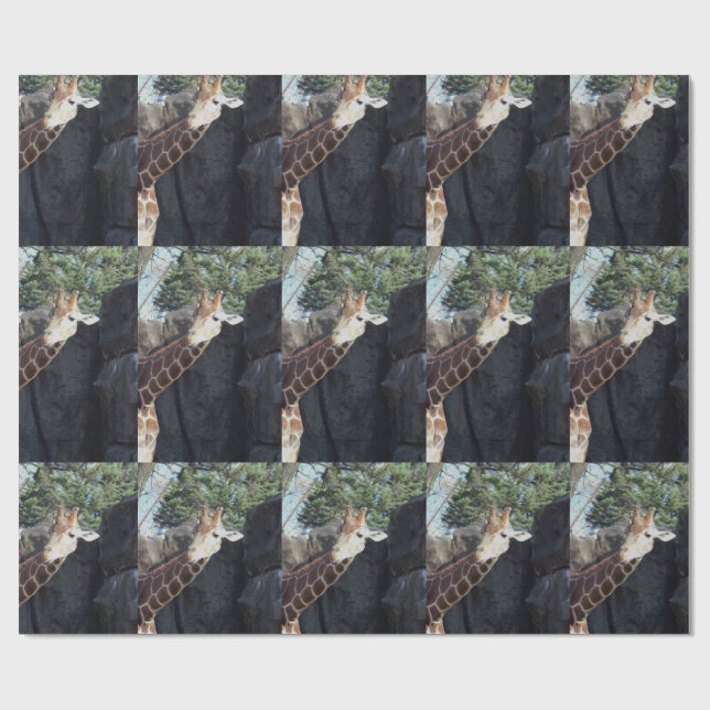 Papier Cadeau Girafe (Plat)