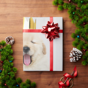 Papier Cadeau Golden Retriever Chiot Yawing Avec Couronne