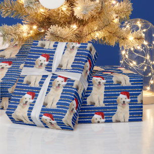 Papier Cadeau Golden Retriever sur rayures pailletées