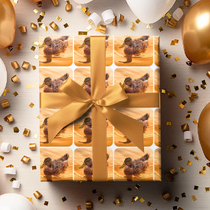 Papier Cadeau Golden Water Mallard Duck Photo