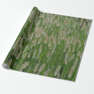 Papier Cadeau Graines vertes