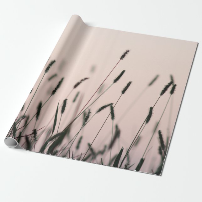 PAPIER CADEAU GRAISSE VERTE (Déroulé)