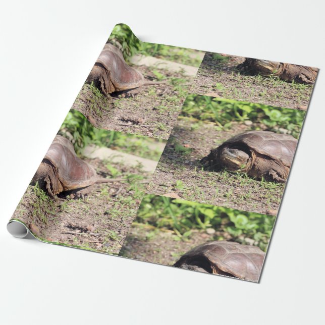 Papier Cadeau Grand gars (Déroulé)