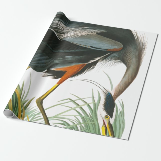 Papier Cadeau Grand héron bleu par John James Audubon (Déroulé)