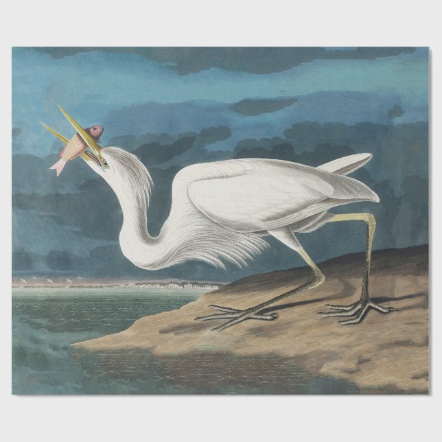 Papier Cadeau Grande Peinture de la faune d'Audubon Heron blanc (Plat)
