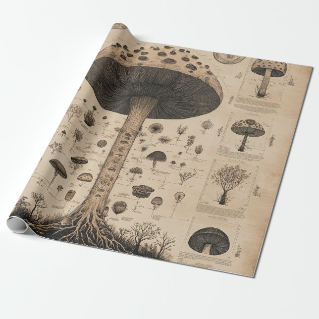 Papier Cadeau Graphique botanique de champignons vintage (10) (Déroulé)