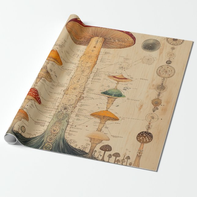 Papier Cadeau Graphique botanique de champignons vintage (11) (Déroulé)