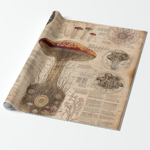 Papier Cadeau Graphique botanique de champignons vintage (2)