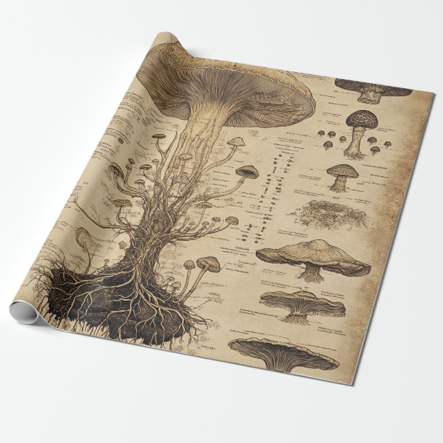 Papier Cadeau Graphique botanique de champignons vintage (5) (Déroulé)