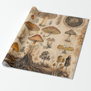 Papier Cadeau Graphique botanique de champignons vintage (6)