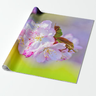 Papier Cadeau Grappe Globale De Fleurs De Sakura Rose Magnifique