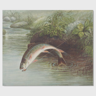 Papier Cadeau Gravure ancienne de pêche à la mouche : truite de