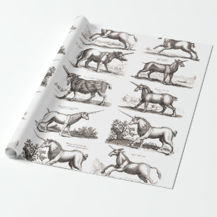 Papier Cadeau Gravure de licorne antique Spécimen de zoologie vi
