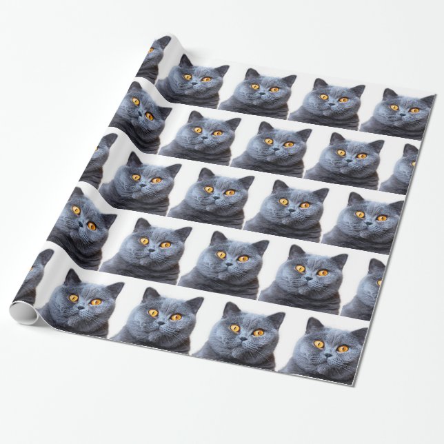 Papier Cadeau Gray cat yellow (Déroulé)