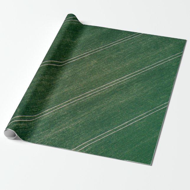 Papier Cadeau Green surface (Déroulé)