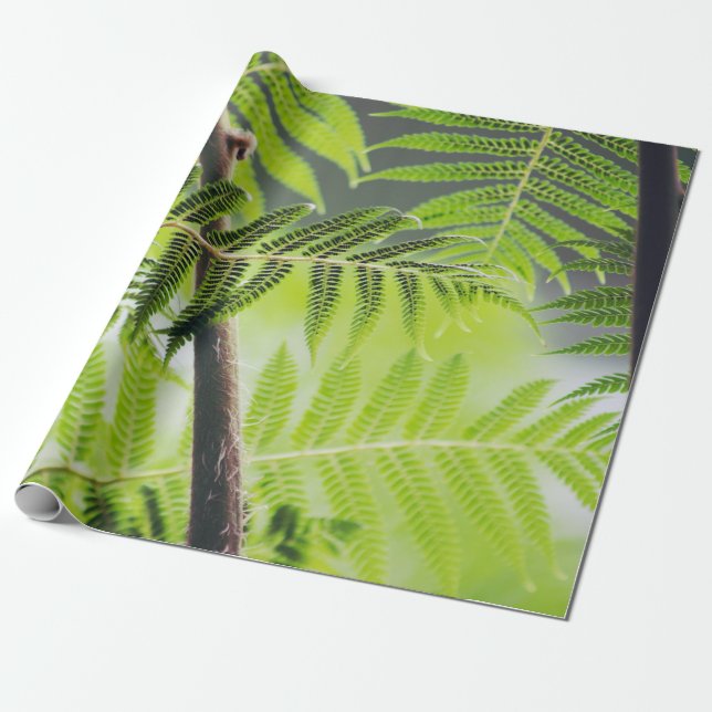 Papier Cadeau  Green Tropical (Déroulé)