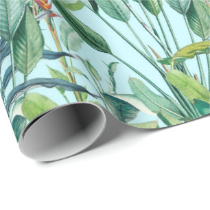 Papier Cadeau Green Tropical Jungle Banana Tree Strelitzia