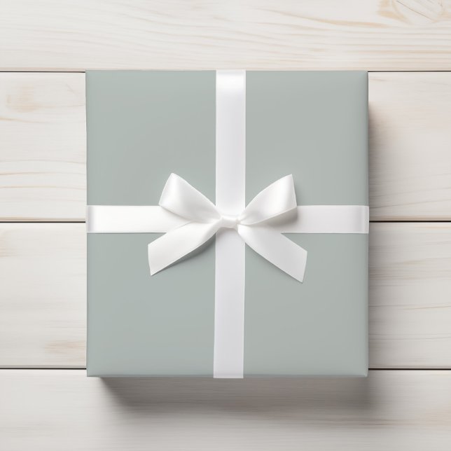 Papier Cadeau Gris clair solide (Créateur téléchargé)