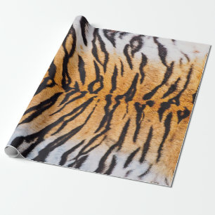 Papier Cadeau Gros plan de Tigre Indo-Chinois (Panthera)