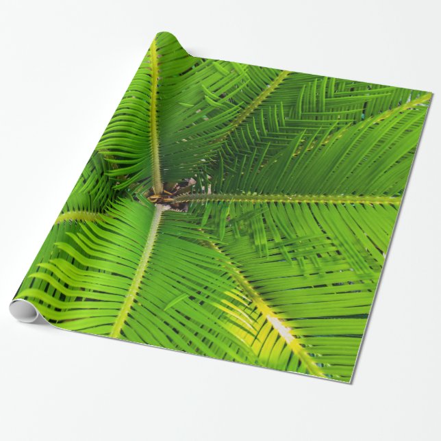 Papier Cadeau Gros plan Feuilles de palmiers verts (Déroulé)