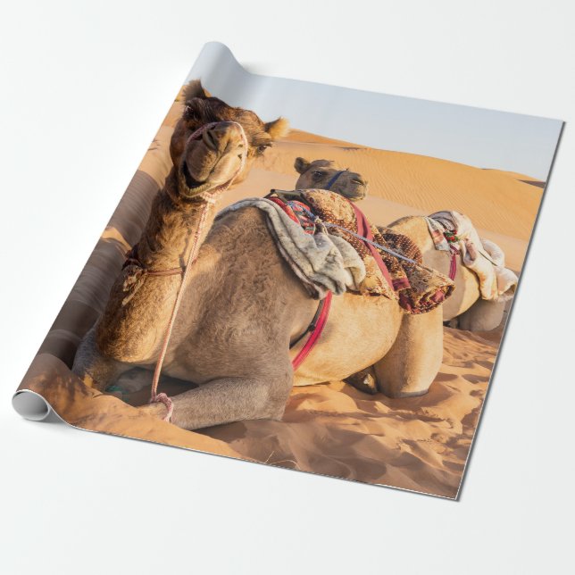 Papier Cadeau Gros plan sur Camel dans le désert d'Oman (Déroulé)