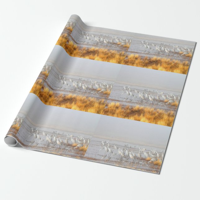 Papier Cadeau Grues de Sandhill (Déroulé)