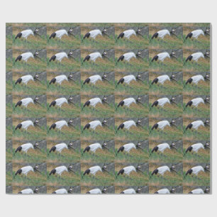 Papier Cadeau Grus japonensis