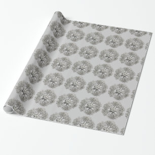Papier Cadeau Haeckel personnalisable