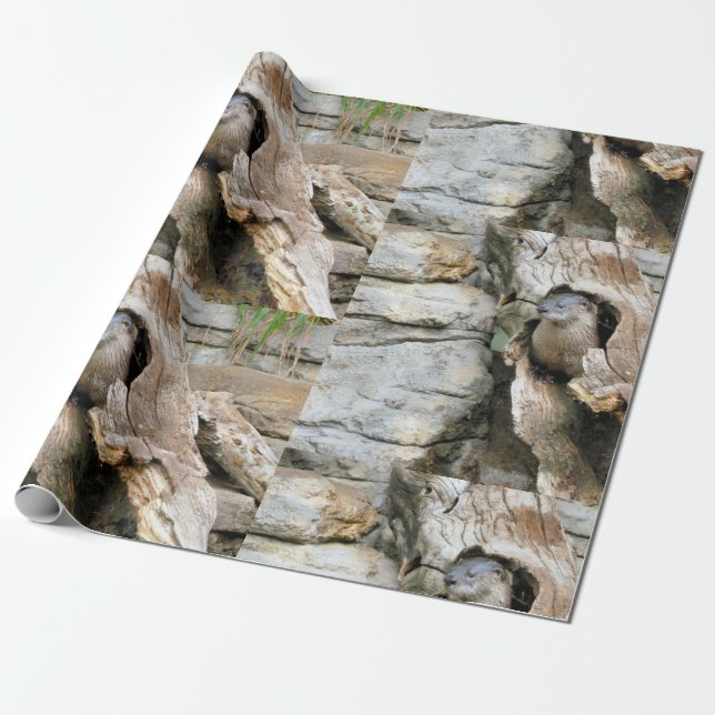 Papier Cadeau Harry Otter (Déroulé)