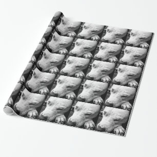 Papier Cadeau harry potler scar dog white pit bull