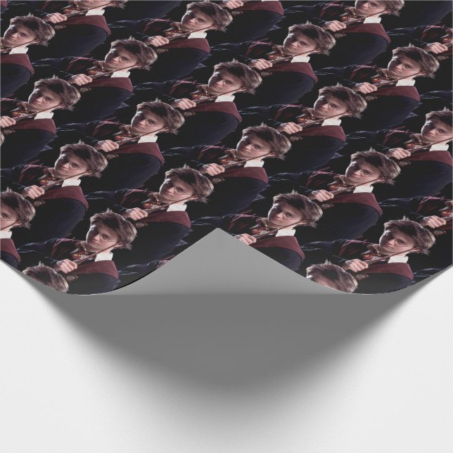 Papier Cadeau Harry Potter Lève (Coin)