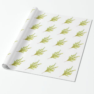 Papier Cadeau Herbes de thym Herbe botanique Aquarelle rustique