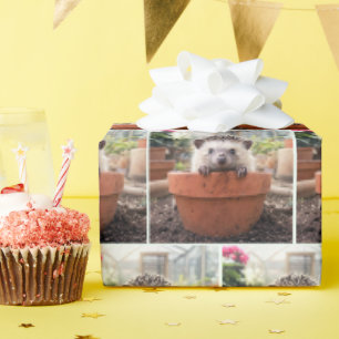 Papier Cadeau Hérisson dans un pot de fleurs en argile