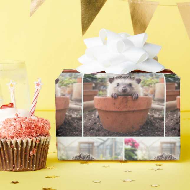 Papier Cadeau Hérisson dans un pot de fleurs en argile (Fête d'anniversaire)