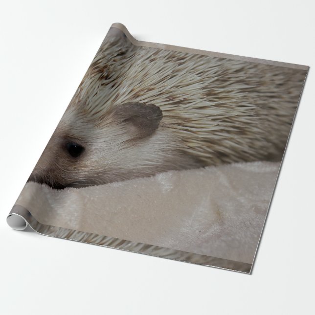 Papier Cadeau Hérisson de sourire (Déroulé)