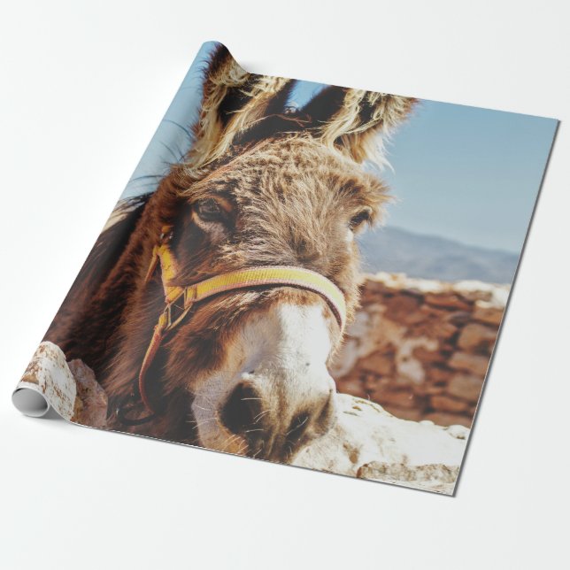 PAPIER CADEAU HI DONKEY (Déroulé)
